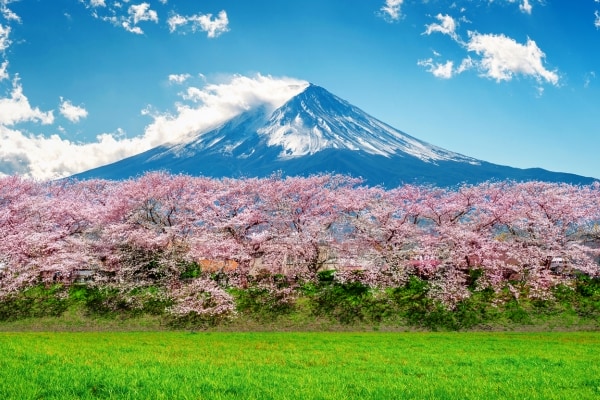 Tokyo