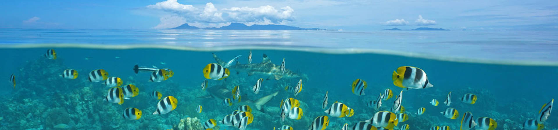 Raiatea - French Polynesia