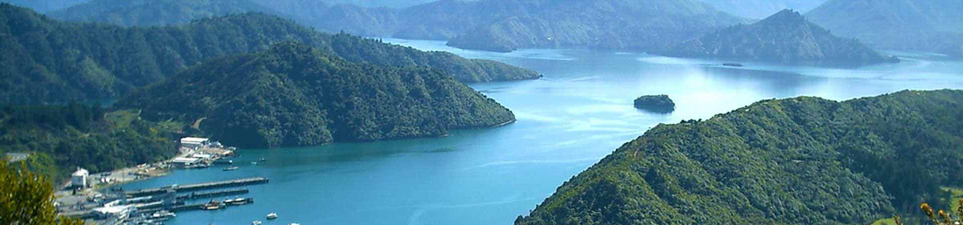 Picton-1