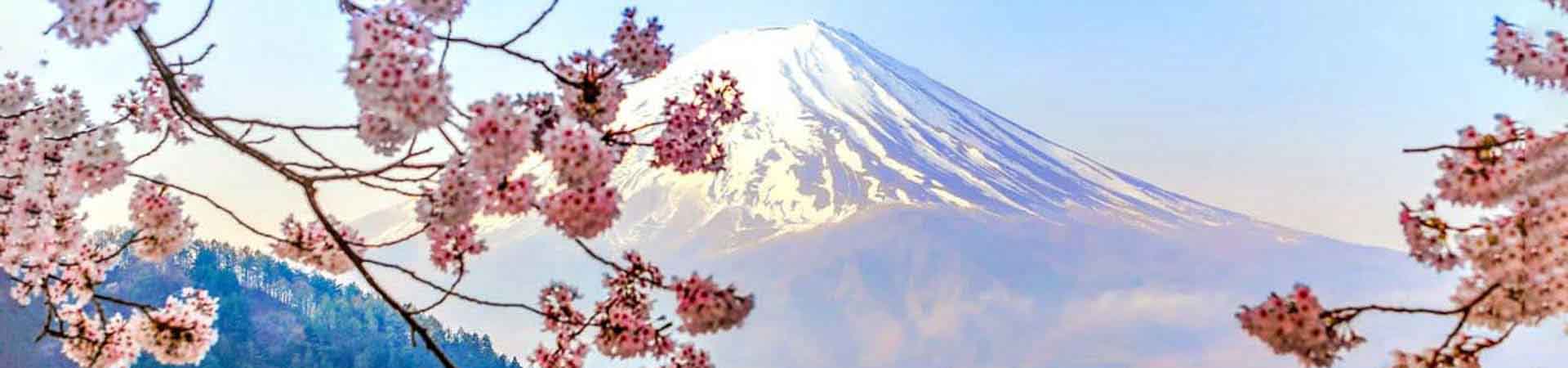 Shimizu-1