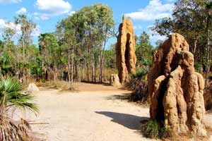ports-darwin-litchfield-termite-mounds-ahoy-200 image ports darwin litchfield termite mounds ahoy 200